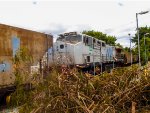 VLI 6048